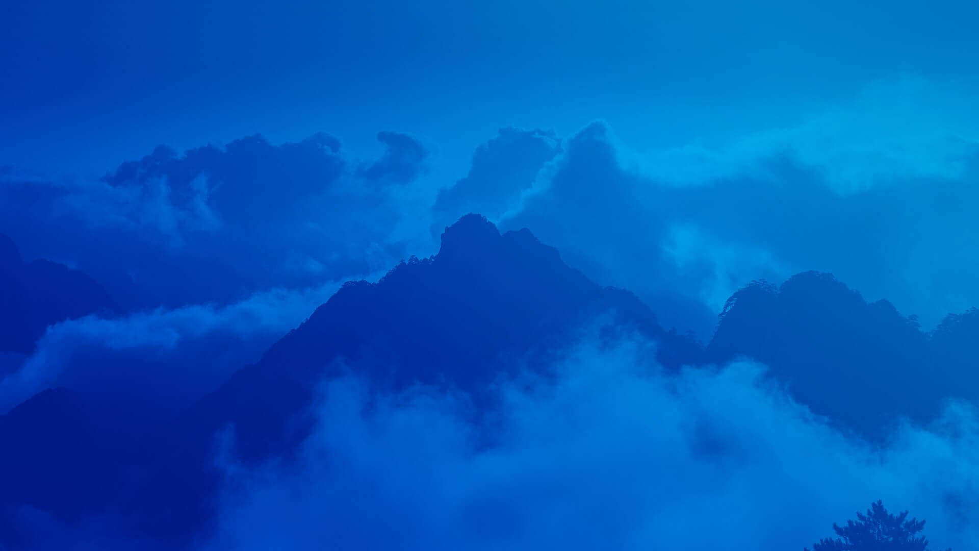 IPMA Level D: Ihr Einstieg in die professionelle PM-Karriere