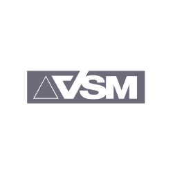 VSM VSM